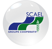 scael